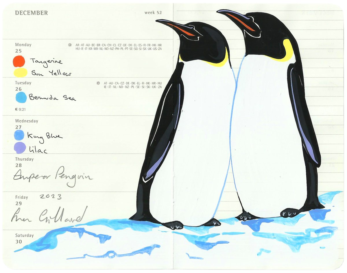 Image of Emperor Penguins