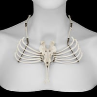 Image 1 of "Shea" Dog Bone Necklace