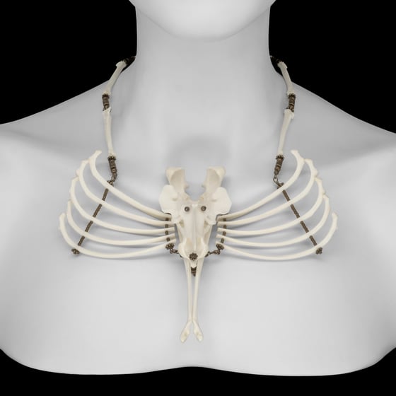 Image of "Shea" Dog Bone Necklace