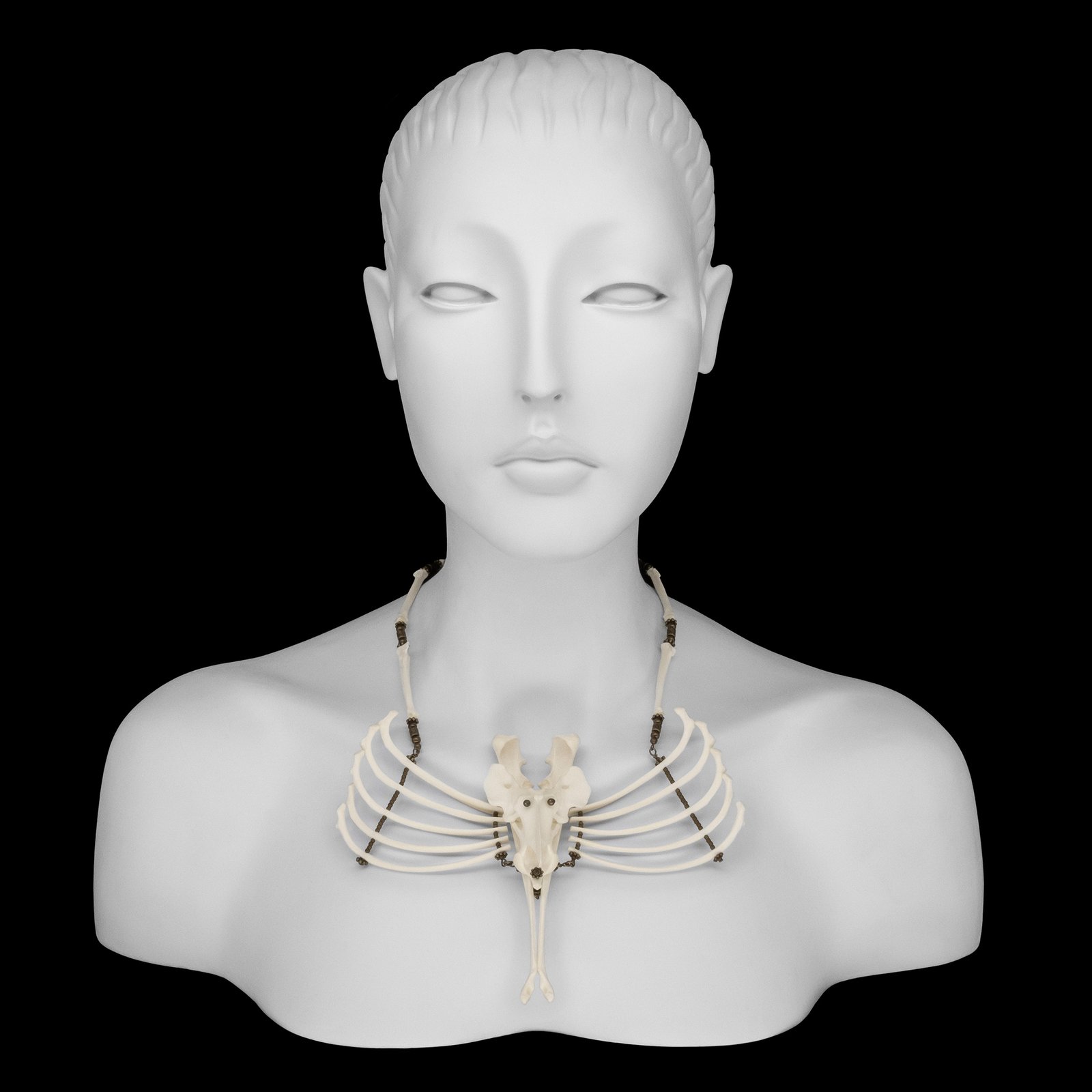 here’s(heres) CETACEA BONE NECKLACE CETACEA BONE NECKLACE – h'eres