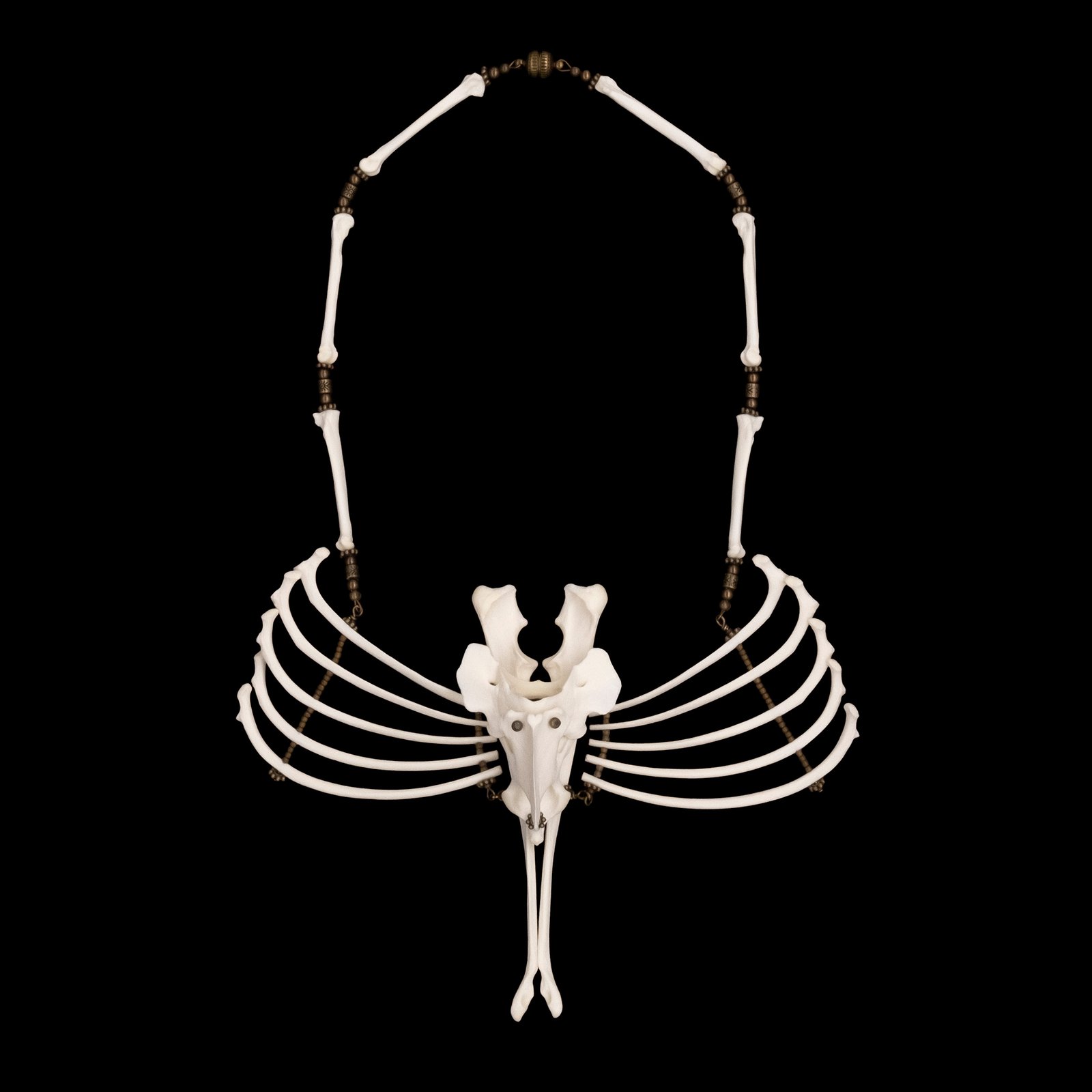 アクセサリー here's CETACEA BONE NECKLACE CETACEA BONE