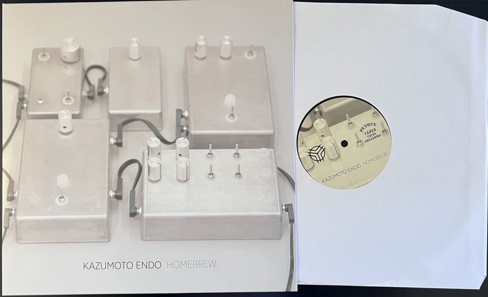 KAZUMUTO ENDO / BOAR 'Homebrew / Metal Bound Flesh' split LP