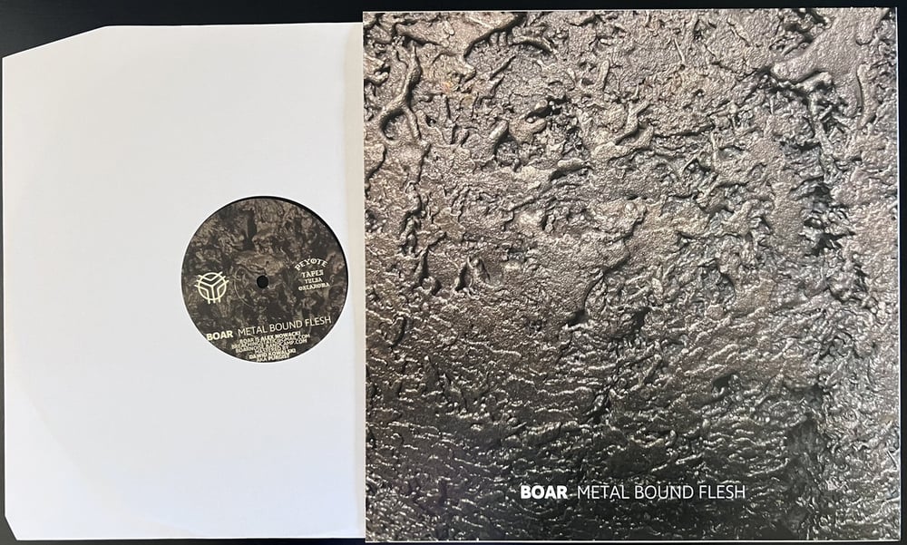 KAZUMUTO ENDO / BOAR 'Homebrew / Metal Bound Flesh' split LP