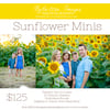 Sunflower Minis 