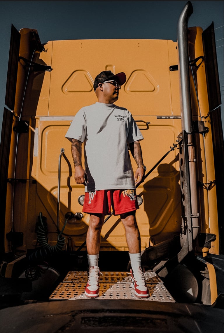Thieves LA Mesh Shorts Image 3