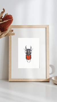 Image 5 of Odontolabis Beetle Watercolor Illustration PRINT 