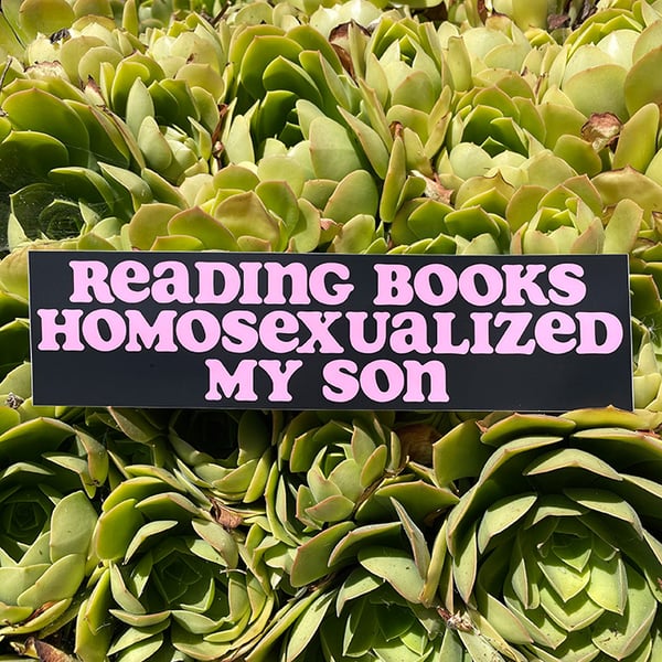 Image of Reading Books Homosexualized My Son Bumper Sticker