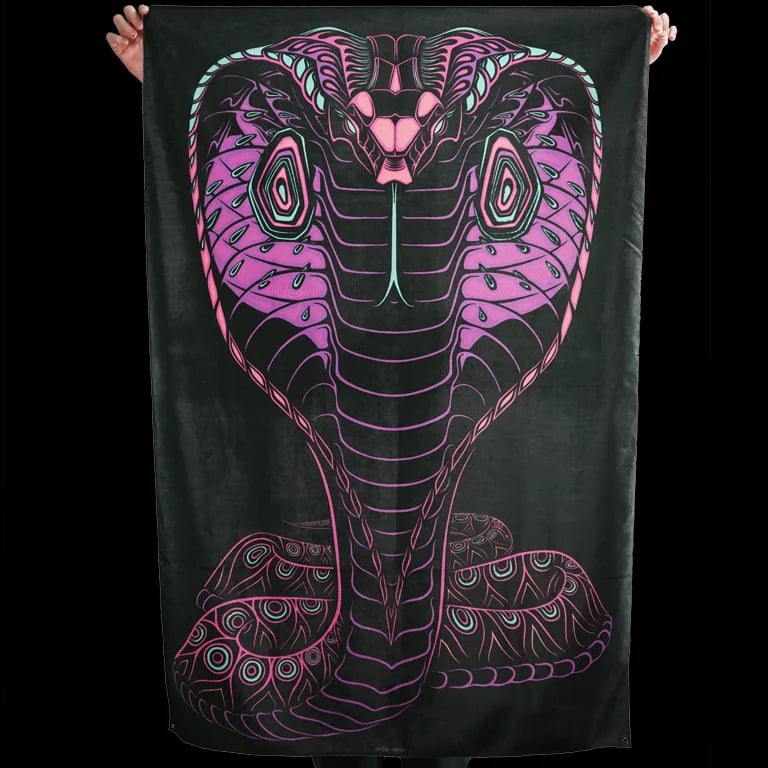 COBRA Image 5