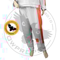 Image 5 of Prisoner Andor Custome Flightsuit