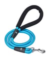 Blueberry Pet Solid Rope Dog Leash