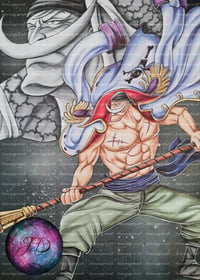 Whitebeard Poster