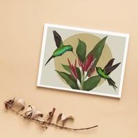 Image 1 of “La Danza de los Zumbadores” / “ The dance of the Hummingbirds”