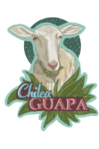 Image 1 of Sticker “Chilea guapa”