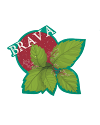 Image 1 of Sticker “BRAVA”