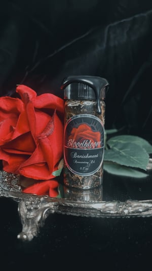 Image of 𝔅𝔞𝔫𝔦𝔰𝔥𝔪𝔢𝔫𝔱 𝔒𝔦𝔩