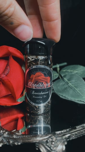 Image of 𝔅𝔞𝔫𝔦𝔰𝔥𝔪𝔢𝔫𝔱 𝔒𝔦𝔩