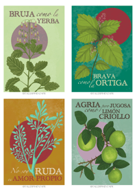 Image 4 of Postcards “Jevas del Monte”