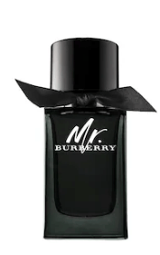 Image of Mr. Burberry