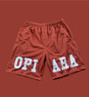 OPIARA "Brown" Shorts