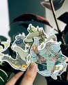 Vol 3 Genshin Teapots ♦ Star Holo Stickers
