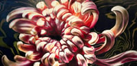 Image 1 of Chrysanthemum Beckons