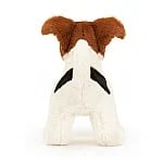 Image 3 of Albert Jack Russell  