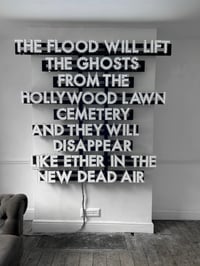 Image 3 of ROBERT MONTGOMERY ‘Oscar Night Poem (The Flood)’*, 2013