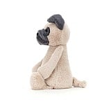 Image 2 of Bashful Pug