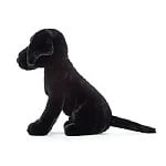 Image 2 of Pippa Black Labrador 