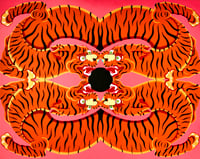 Image 2 of FOUR TIGERS FOUND A BLACK HOLE