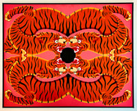 Image 1 of FOUR TIGERS FOUND A BLACK HOLE