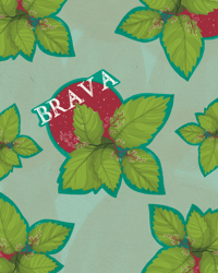 Image 4 of Sticker “BRAVA”