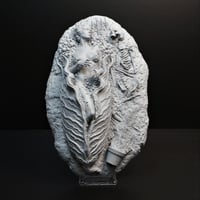 Image 1 of Invasion of the Body Snatchers Model Kit