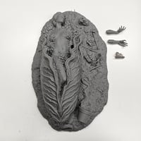 Image 4 of Invasion of the Body Snatchers Model Kit