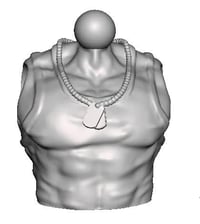 Dog tag torso