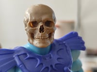 Image 1 of Base Skull 6"