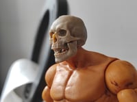 Image 3 of Base Skull 6"
