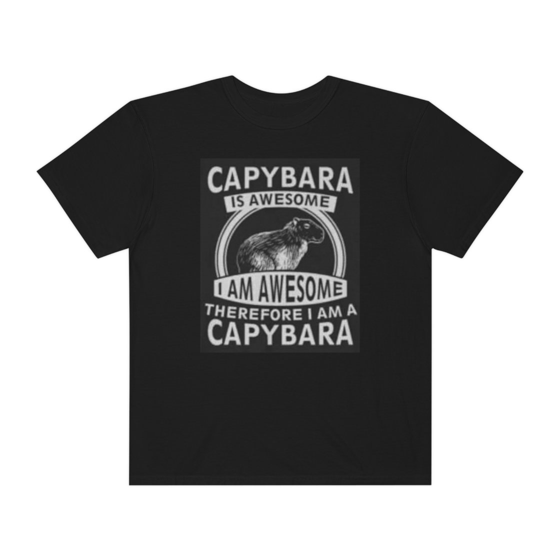 Image of Unisex Italian-Dyed T-shirt
