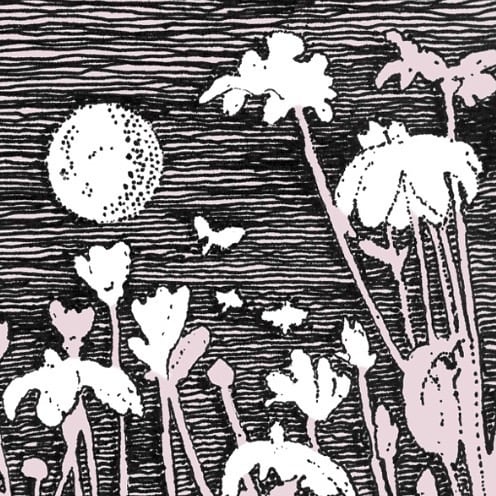 Image of Night Flowers