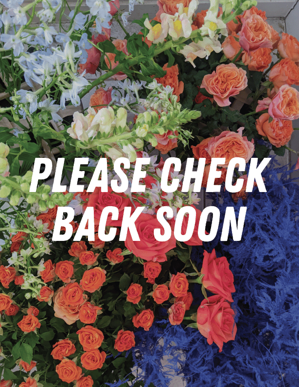 Image of Please check back soon