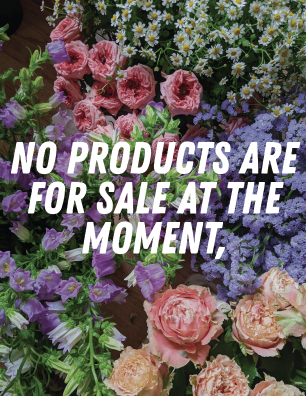 Image of No products are for sale at the moment, 
