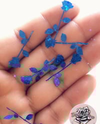 Image 1 of Long Stem Rose Confetti