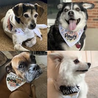 Image 4 of Pet Bandanas (21 Designs To Choose From)