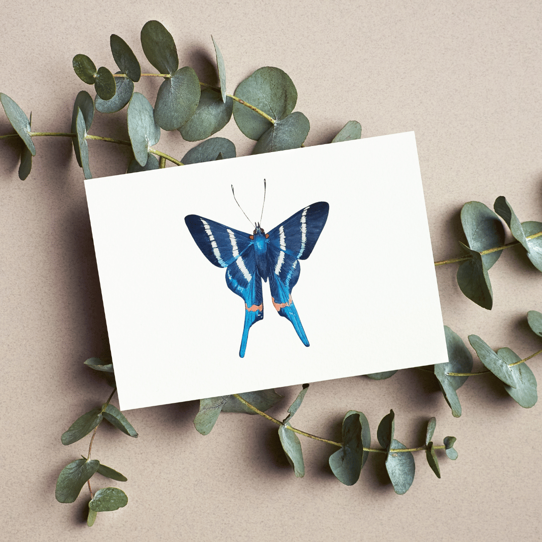 Image of Blue Butterfly Watercolor Illustration PRINT 