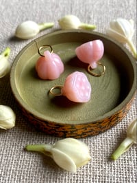 Image 1 of Mini graine de lotus opale rose du Pérou 