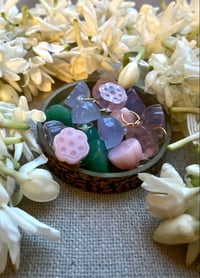 Image 3 of Mini graine de lotus opale rose du Pérou 