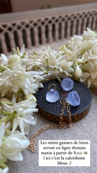 Image 4 of Mini graine de lotus en calcédoine bleue 