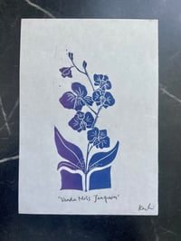 Vanda Miss Joaquim (Handmade relief print)