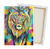 Limited Series: Daniel's Den Canvas Print
