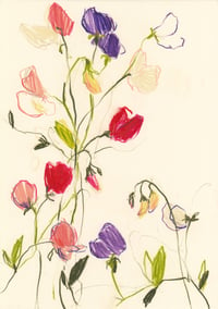 Sweet peas no. 4